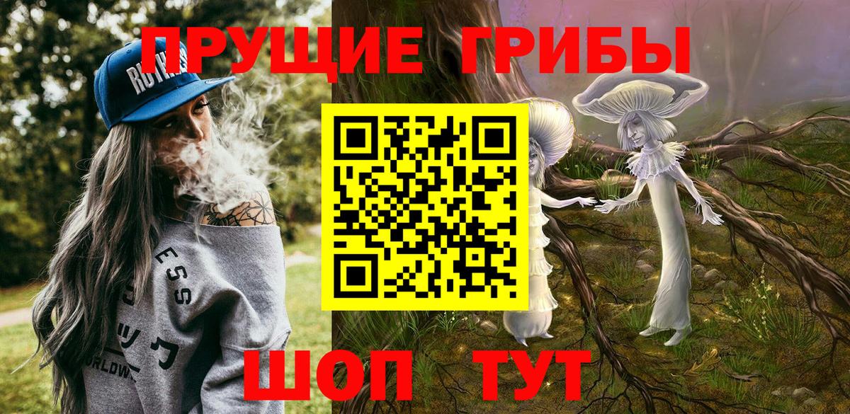 Сальск  Галлюциногенные грибы Cubensis  Вход с VPN 